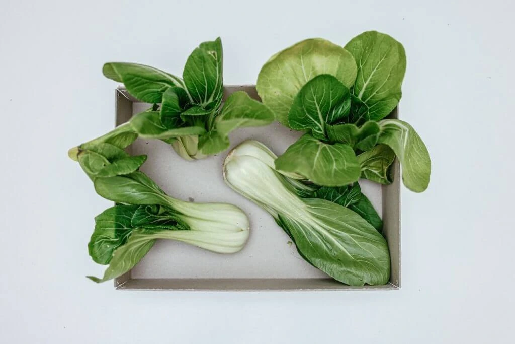 Pak Choi