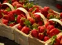 jahody recepty z veľkej úrody