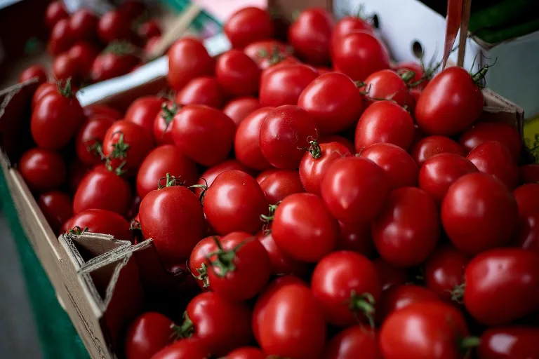 zavárané paradajky