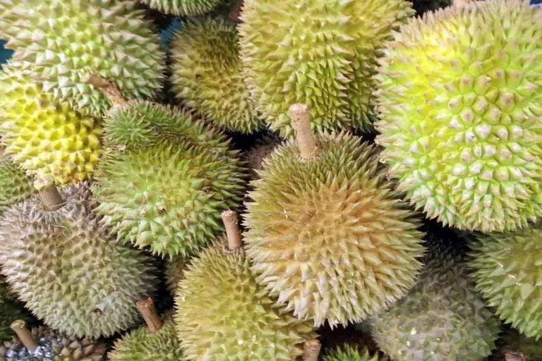 Durian - najsmradľavejšie ovocie na svete