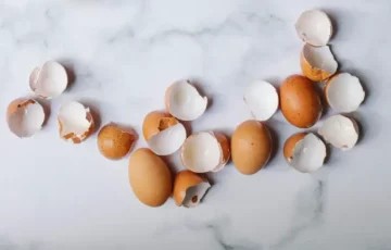 vaječné škrupiny ako hnojivo