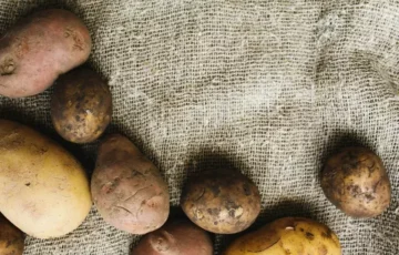 Pestovanie zemiakov vo vreci