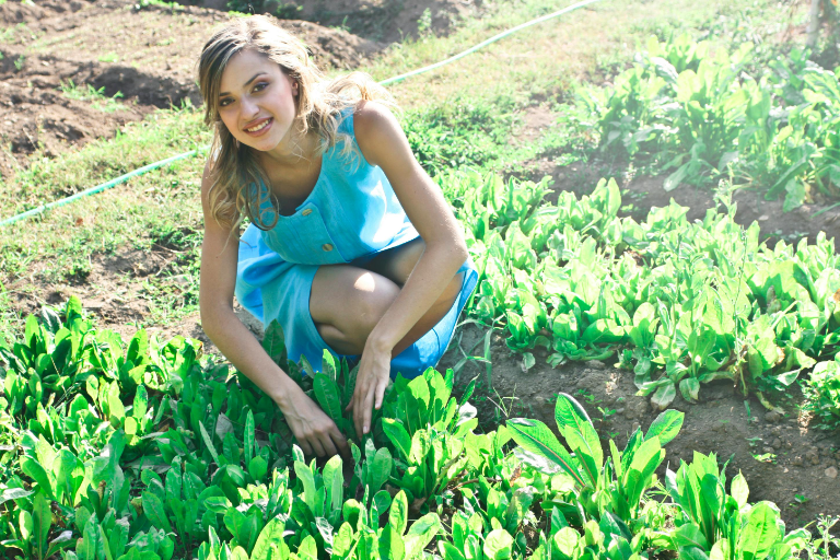 striedanie plodín