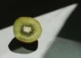 pestovanie kiwi