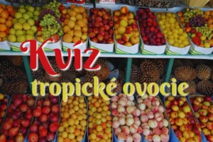 KVIZY 12