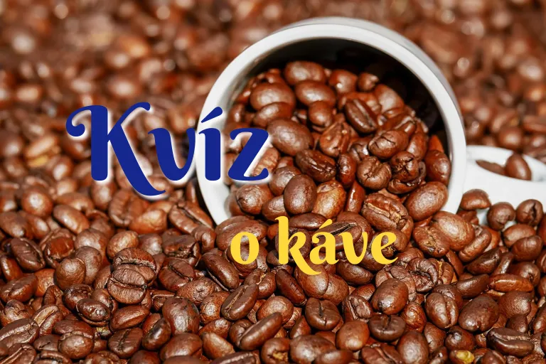 KVÍZ
