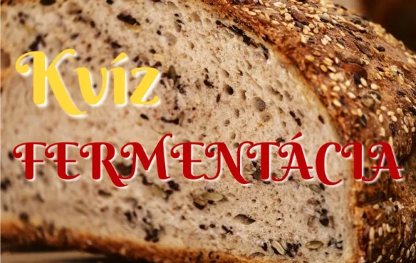 fermentacia