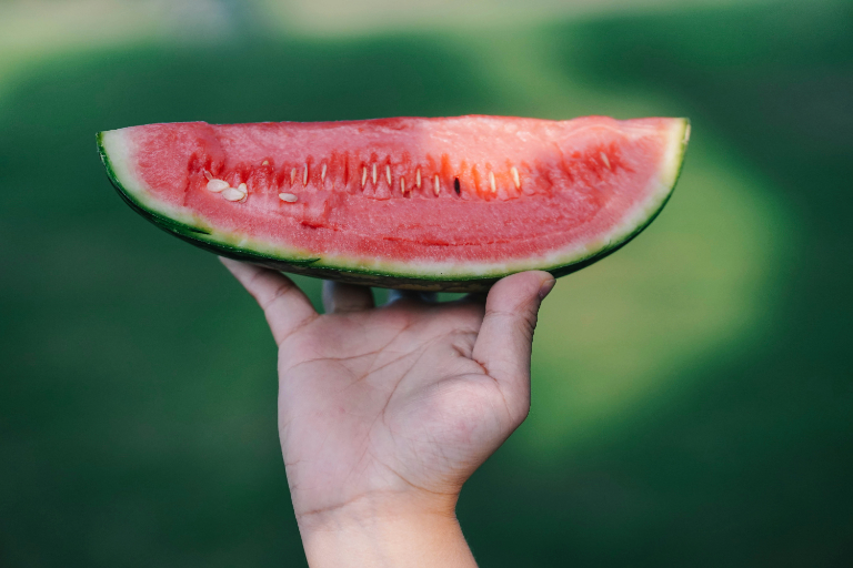 ako vybrat melon