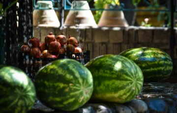 ako vybrat melon