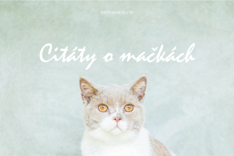 Citáty o mačkách