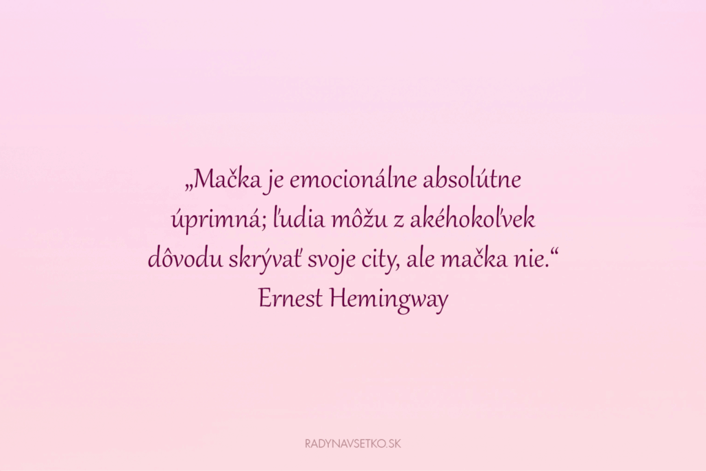 Citáty o mačkách a ľuďoch