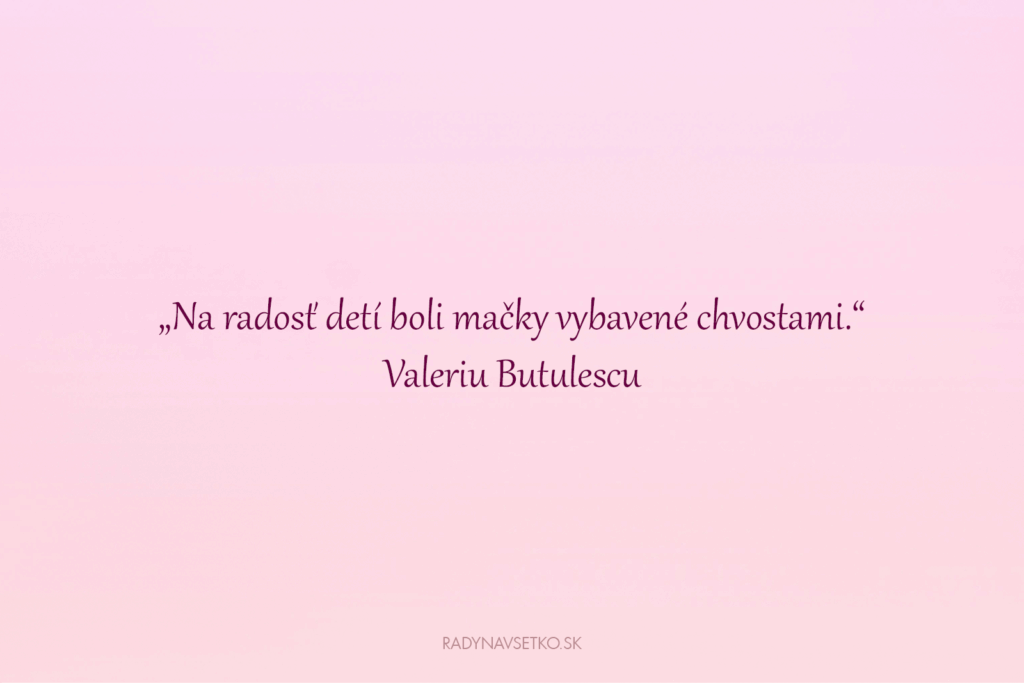 Roztomilé citáty o mačkách