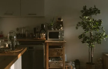ako vyčistiť mikrovlnnú rúru