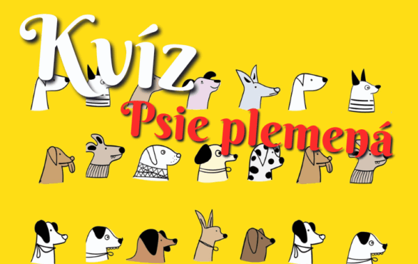 kviz plemena_sk